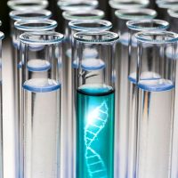_DNA _DNA